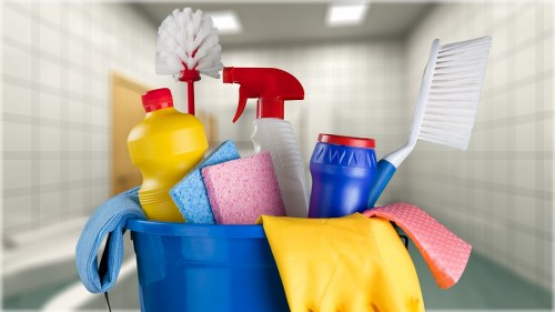 Carpet cleaning treatment for pet stain odour removal in a Chingford home