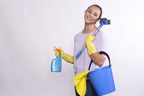 Specialist sofa cleaning methods for delicate upholstery in Chingford
