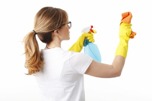 Cleaning products and tools used in a professional carpet cleaning service