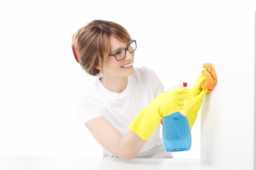 Fast stain removal process for carpets in Chingford homes