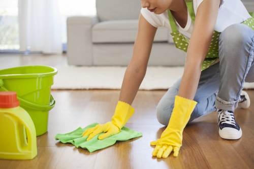 Chingford household carpet stain removal and deep cleaning service